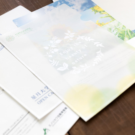 紙製クリアファイル