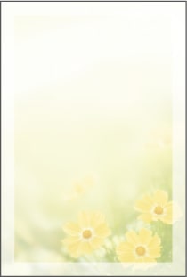 喪中はがき コスモス