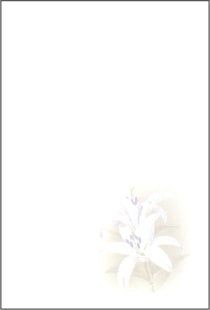 喪中はがき 百合