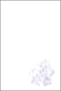 喪中はがき 紫彩蘭