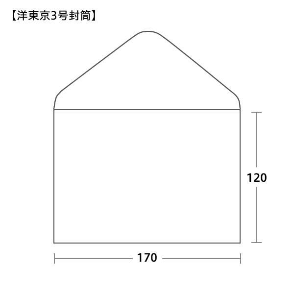 洋東京3号封筒サイズ 170×120mm