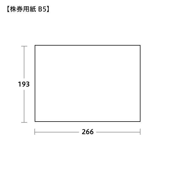 SK0251 株券用紙 優 B5 裏なし アイ