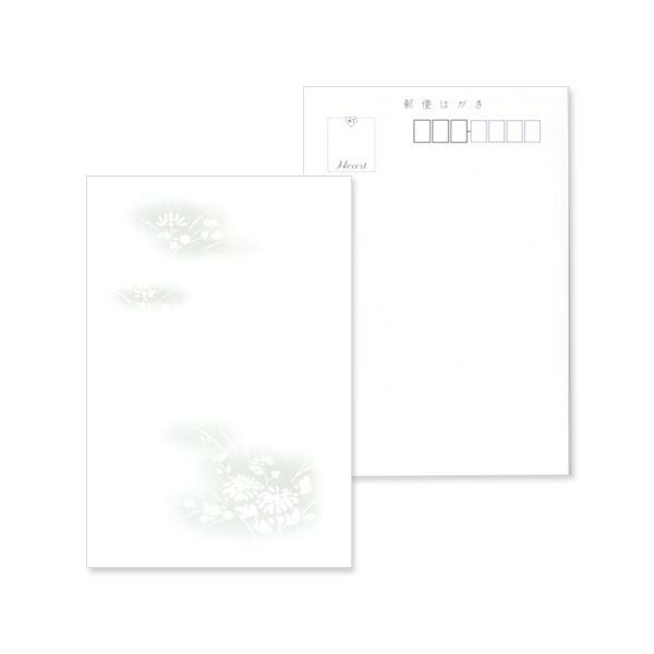 PJ2625 喪中はがき印刷 野菊