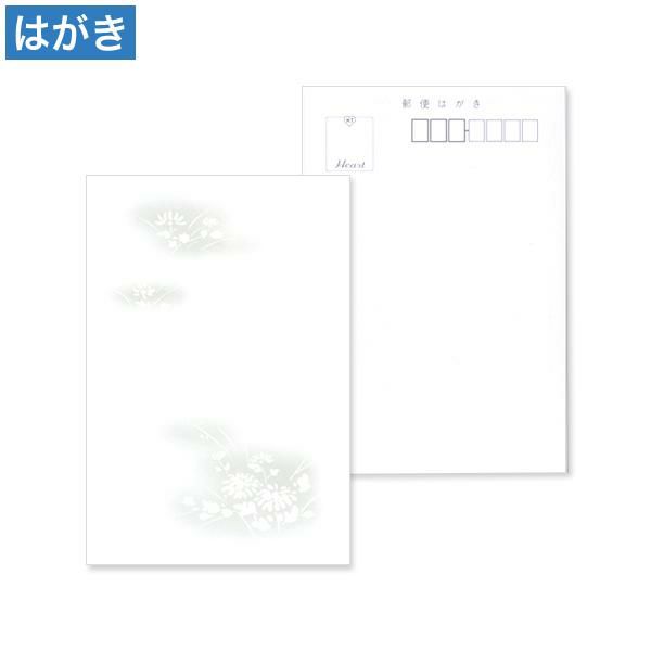 喪中はがき 野菊
