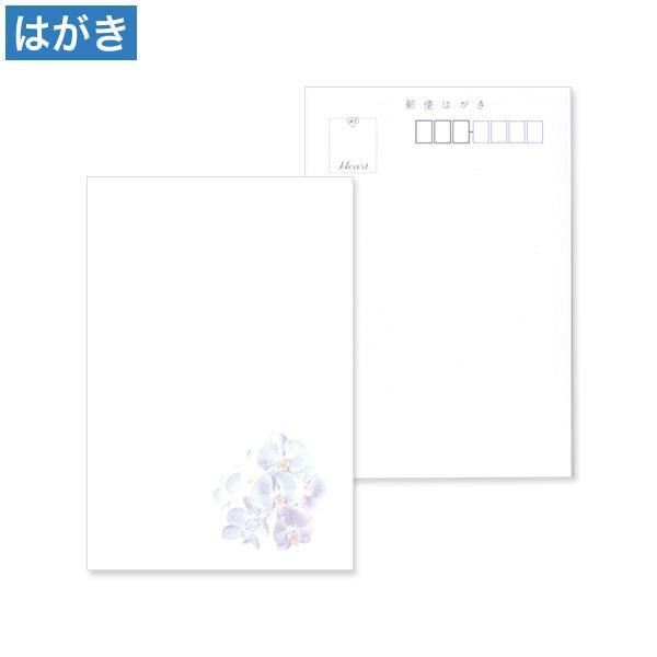 喪中はがき 紫彩蘭