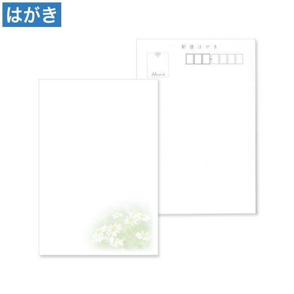 喪中はがき 小菊