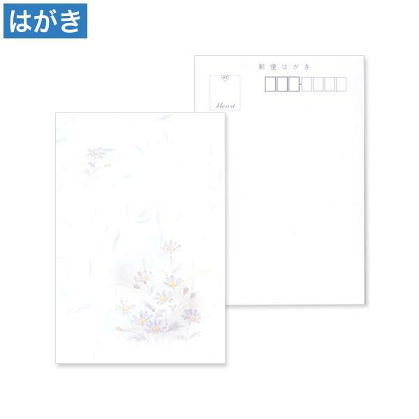 喪中はがき 蒼菊