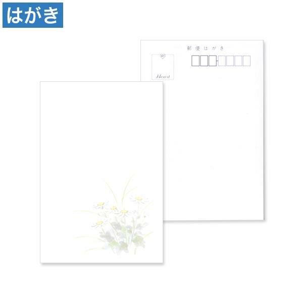 喪中はがき 花菊