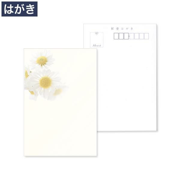 喪中はがき 白小菊 フォトセレクト マルチプリンター対応