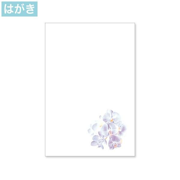 PJG641 喪中はがき 紫彩蘭 インクジェットプリンター専用