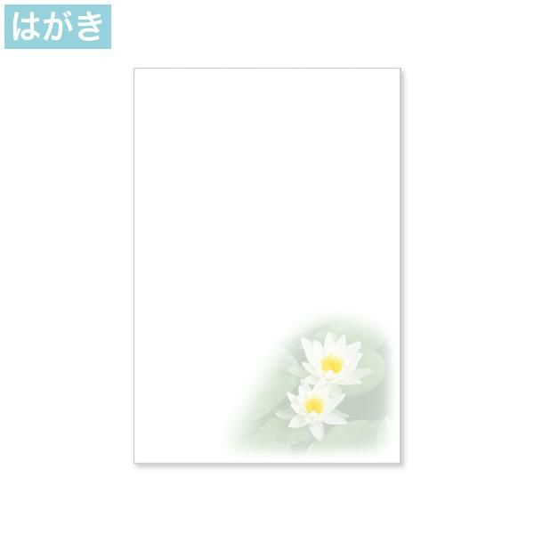 PJG681 喪中はがき 白蓮 インクジェットプリンター専用