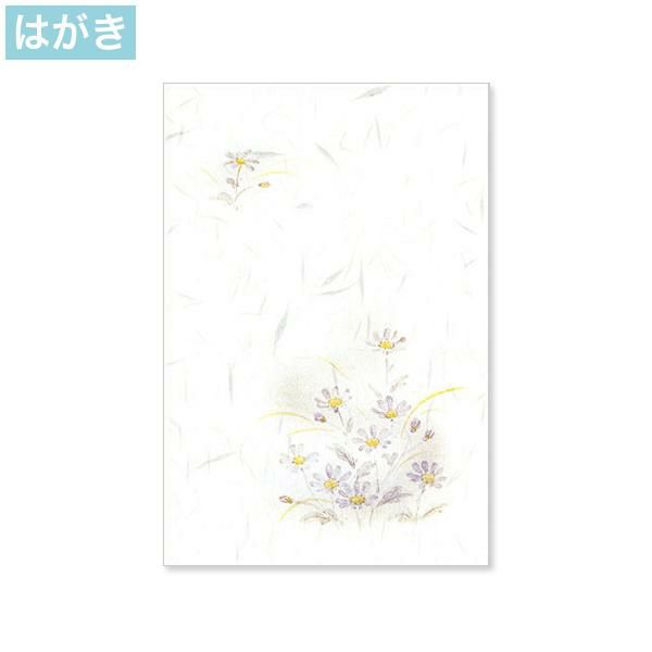 喪中はがき 白雲礼 蒼菊 インクジェットプリンター専用