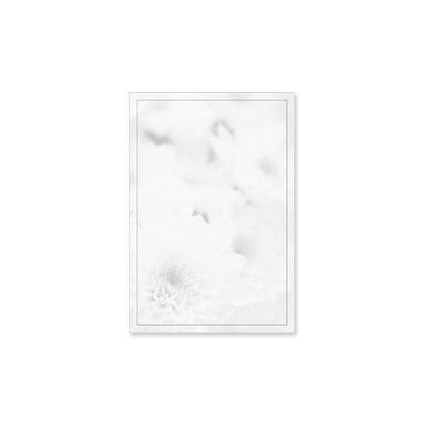 CF0782 会葬礼状 白菊 単判(御礼入)