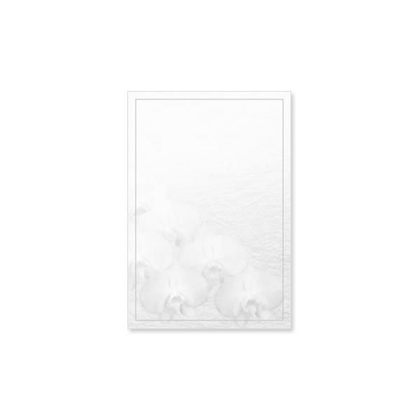 CF0784 会葬礼状 彩蘭 単判(御会葬御礼入)