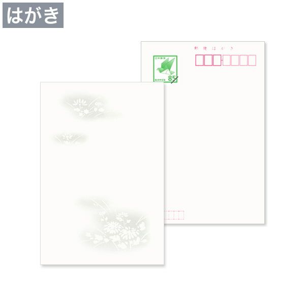 hm0001 喪中はがき 野菊 日本郵便はがき M1
