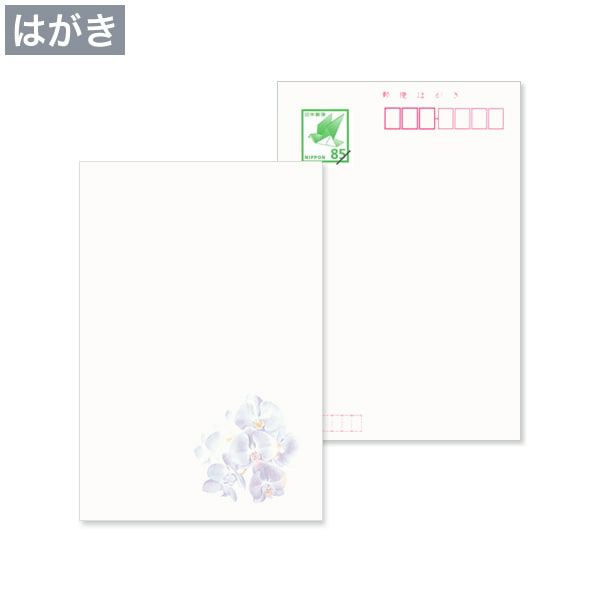 hm0003 喪中はがき 紫彩蘭 日本郵便はがき M3