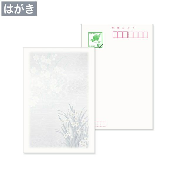hm0005 喪中はがき 水仙 日本郵便はがき M5